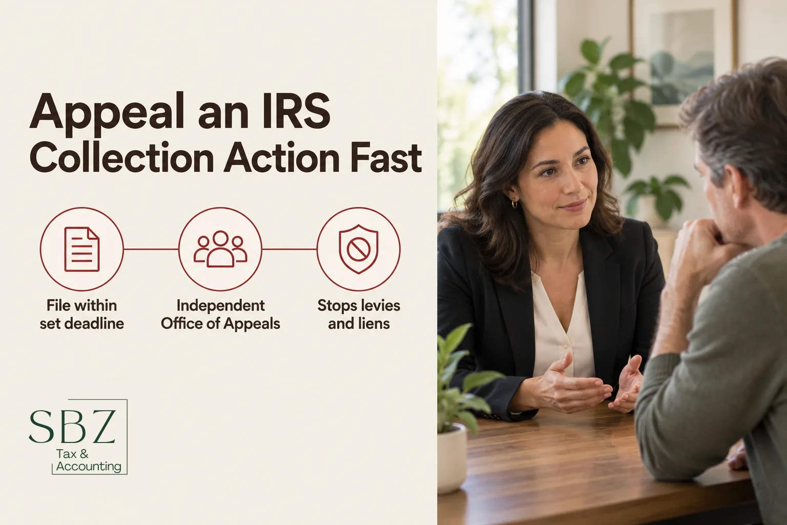 IRS Form 9423: How to Use the Collection Appeals Request — cover